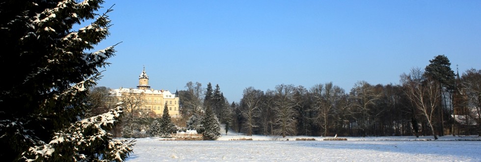 Auch Burgen und Schlösser gibt es im Naturpark Hoher Fläming zu bestaunen. Foto: flaeming.net